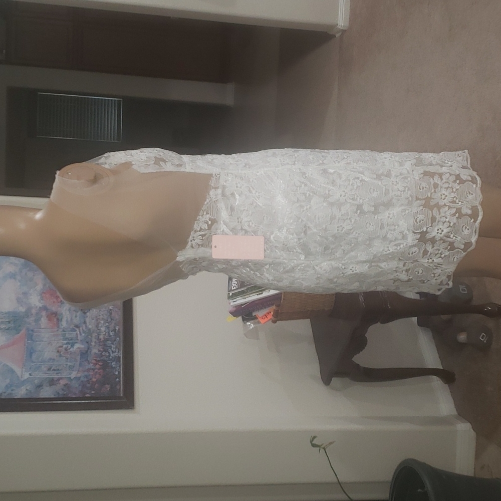 Delicately feminine lace & mesh fitted mini dress semi sheer - Picture 3 of 8